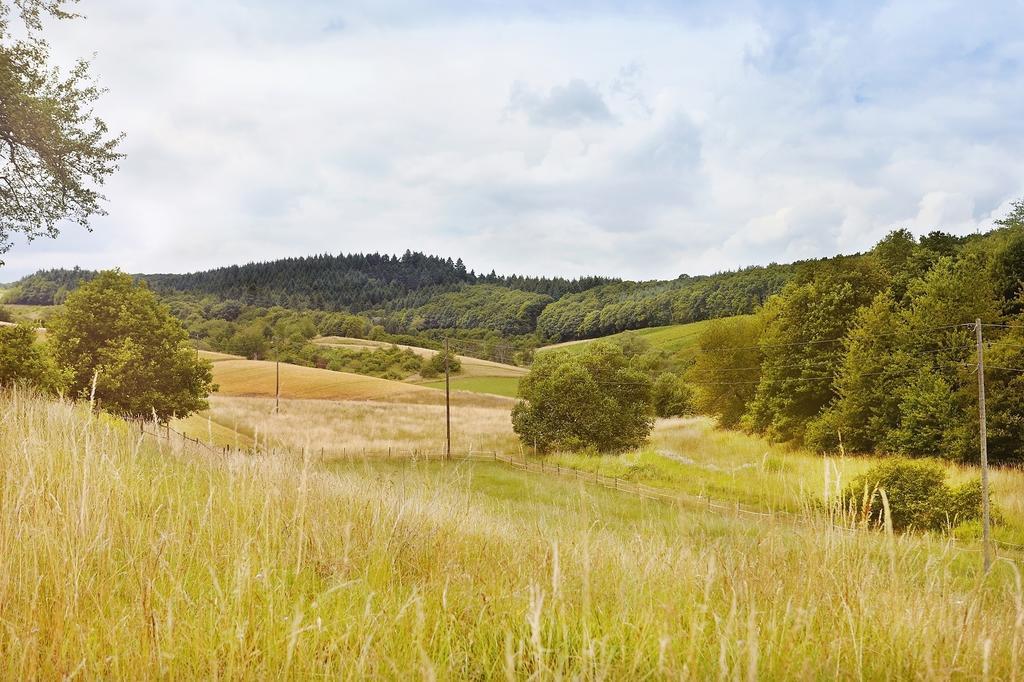 Landhotel Lembergblick Feilbingert Eksteriør billede